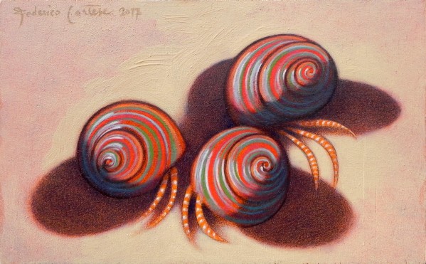 hermit crab on the shore Print